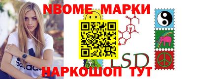 амф Гатчина