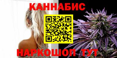 амф Гатчина