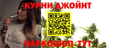амф Гатчина