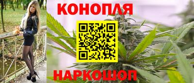 амф Гатчина
