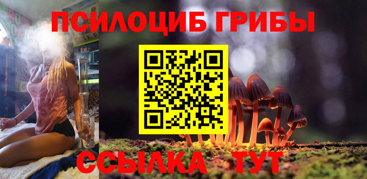 Мичуринск  Галлюциногенные грибы MAGIC MUSHROOMS  магазин  наркотиков  Вход с VPN 
