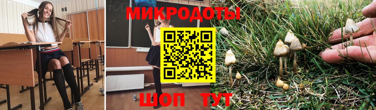 Галлюциногенные грибы прущие грибы Мичуринск